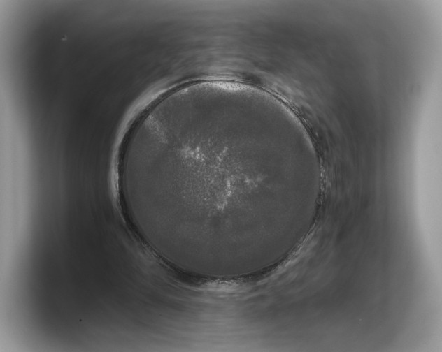 X0000103220294200809181509