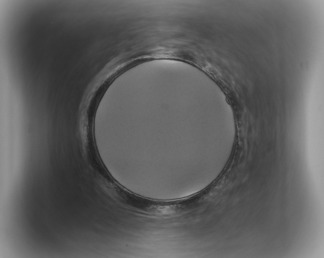 X0000103220295200809181509