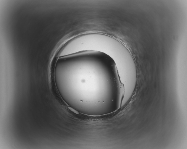 X0000103220296200809181509