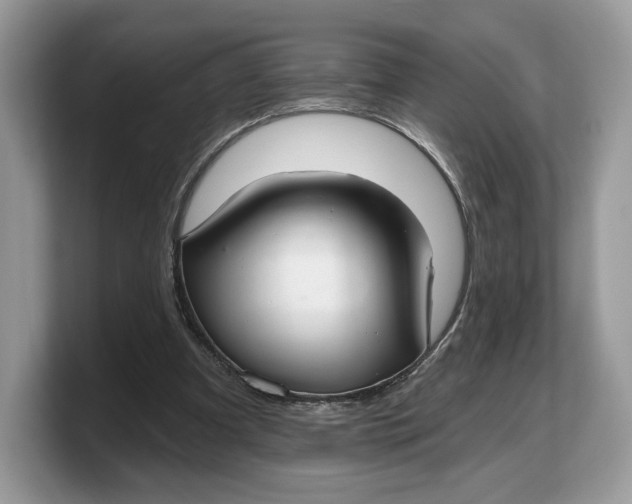 X0000103220297200809181509