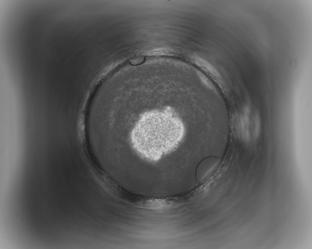 X0000103220298200809181509