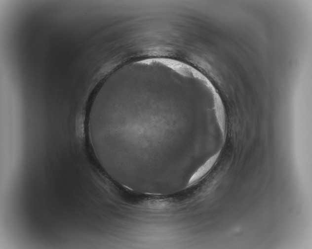 X0000103220299200809181509