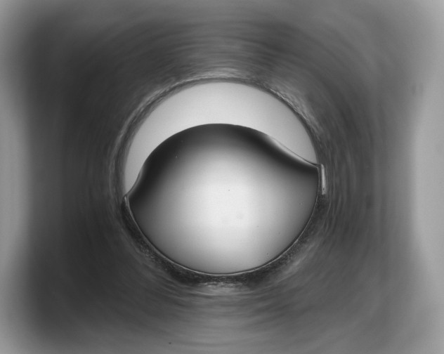 X0000103220300200809181509