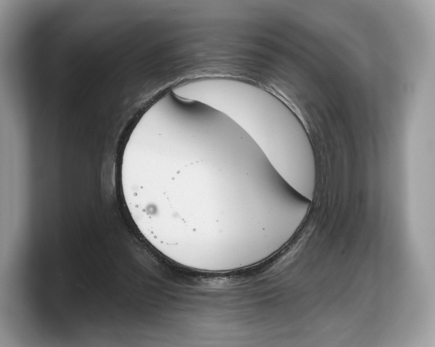 X0000103220301200809181509