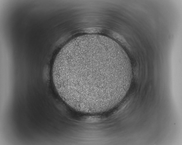 X0000103220303200809181509