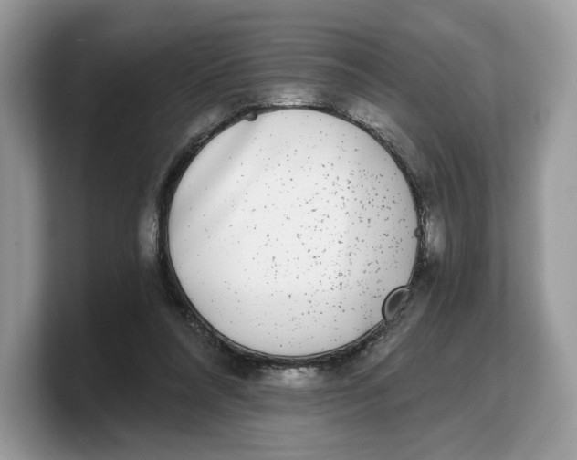 X0000103220304200809181509