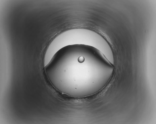 X0000103220305200809181509