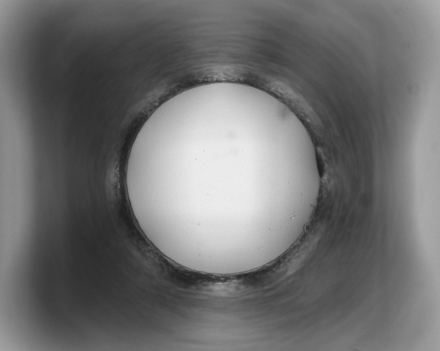 X0000103220306200809181509