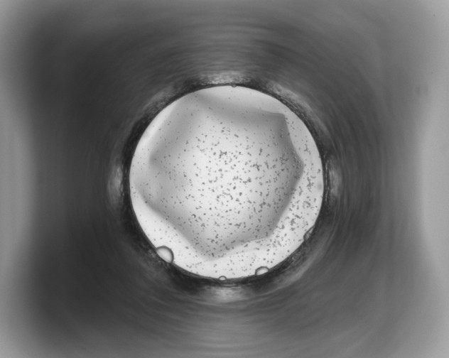 X0000103220308200809181509