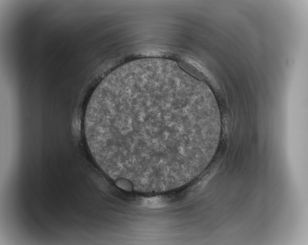 X0000103220309200809181509