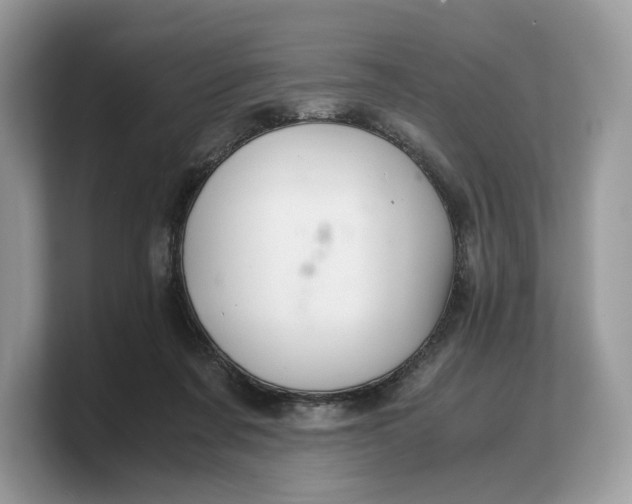 X0000103220311200809181509