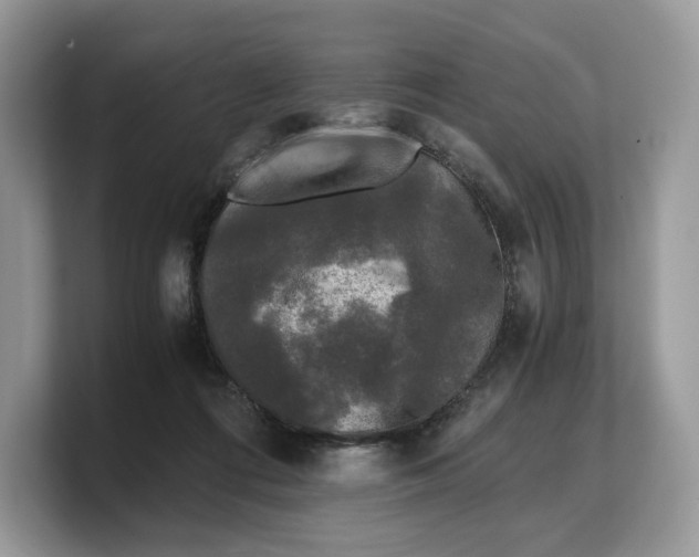 X0000103220312200809181509