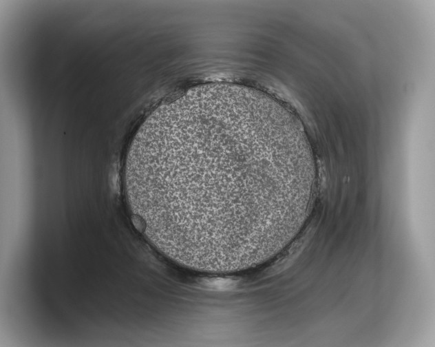 X0000103220313200809181509