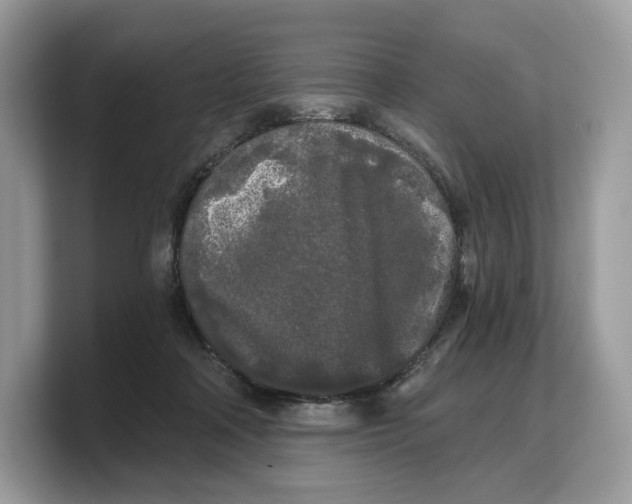 X0000103220314200809181509