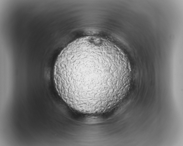 X0000103220315200809181509