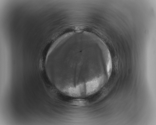 X0000103220316200809181509