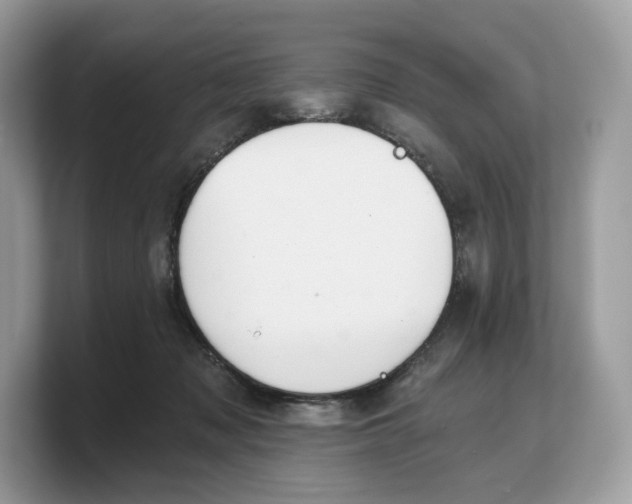 X0000103220317200809181509