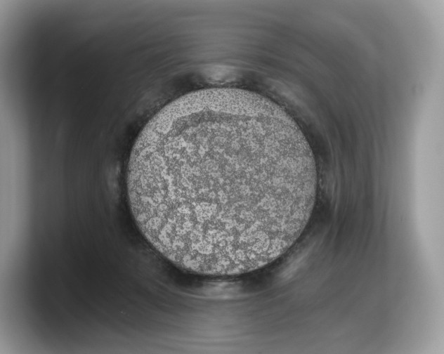 X0000103220319200809181509