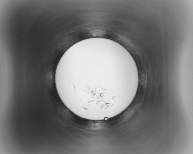 X0000103220321200809181509