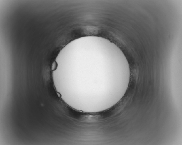 X0000103220323200809181509