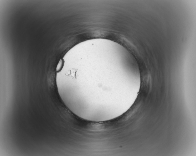 X0000103220325200809181509