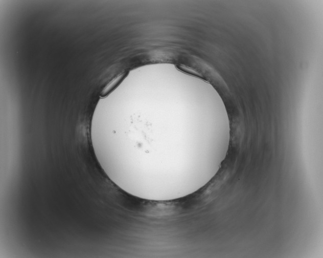 X0000103220329200809181509