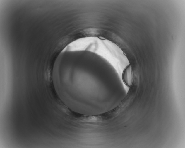 X0000103220330200809181509