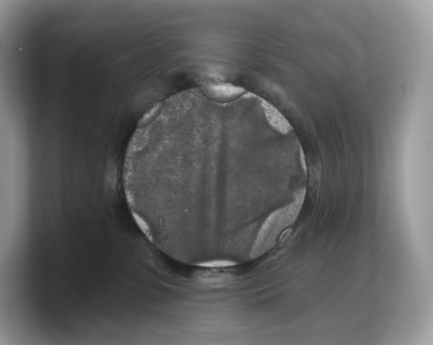 X0000103220331200809181509