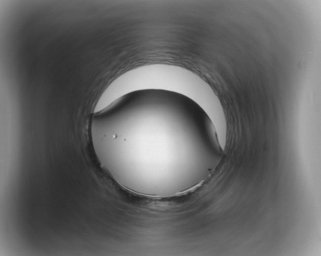 X0000103220332200809181508