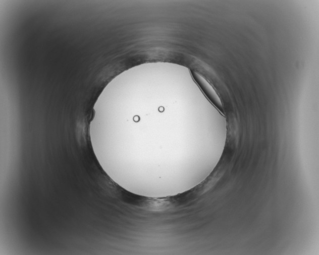 X0000103220333200809181508