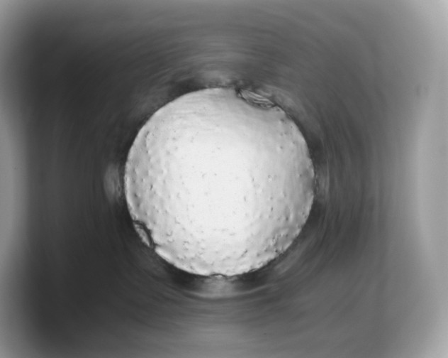 X0000103220335200809181508