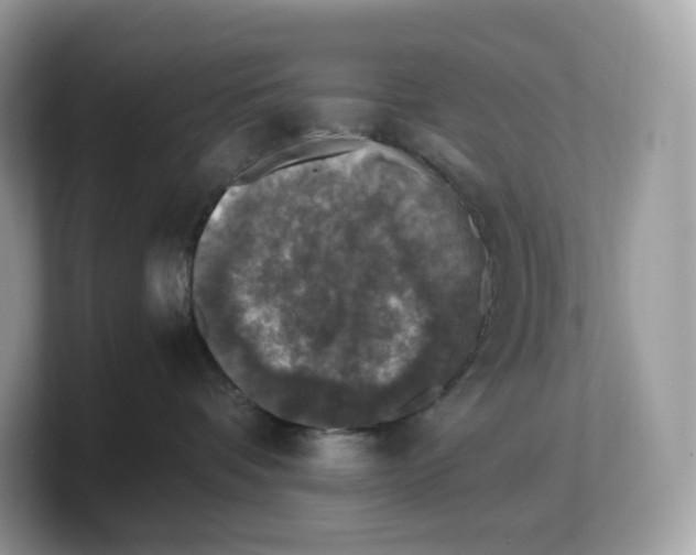 X0000103220336200809181508