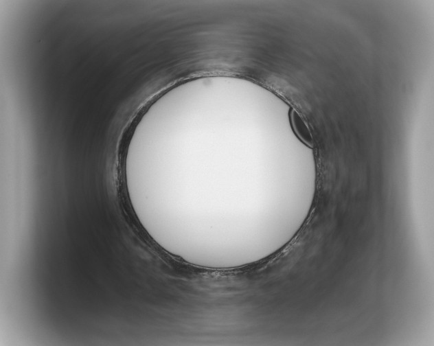 X0000103220338200809181508