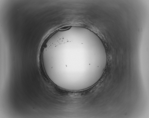 X0000103220340200809181508