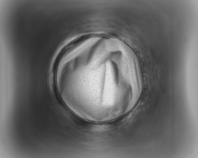 X0000103220342200809181508