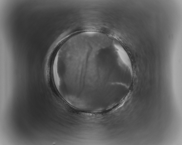 X0000103220343200809181508