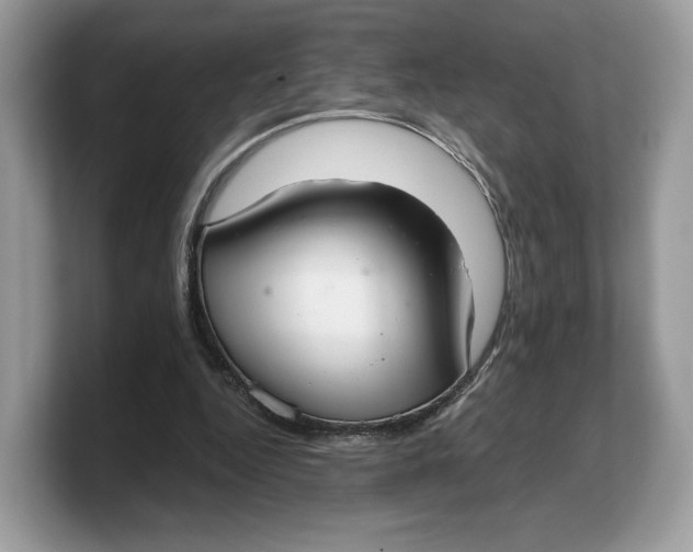 X0000103220344200809181508