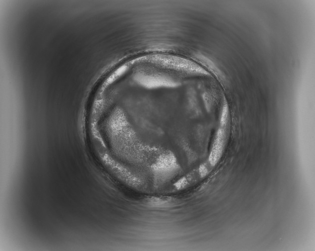 X0000103220346200809181508