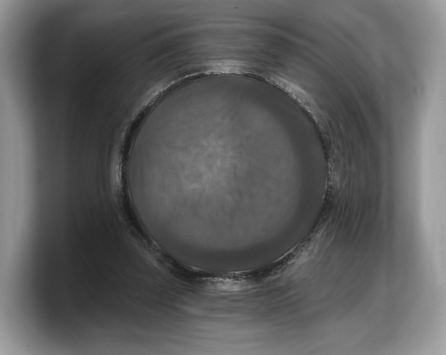 X0000103220347200809181508