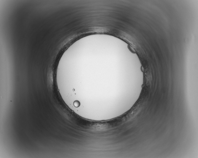 X0000103220350200809181508