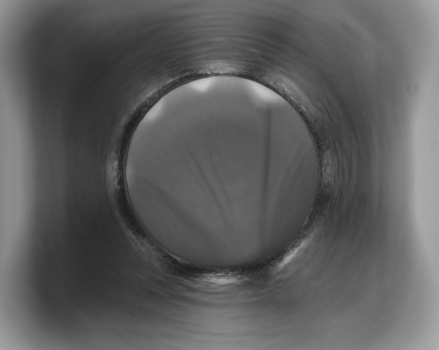 X0000103220351200809181508