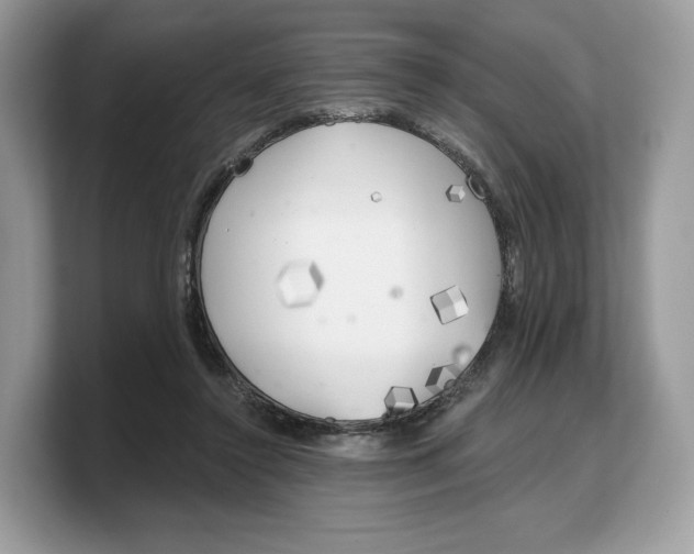 X0000103220356200809181508