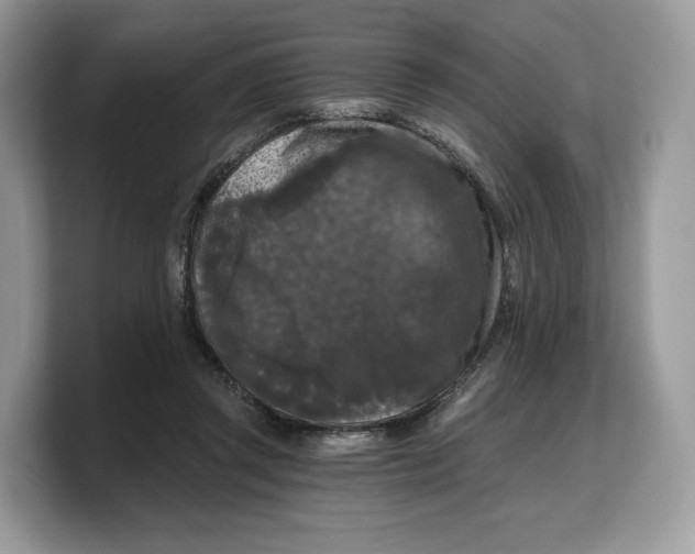 X0000103220357200809181508