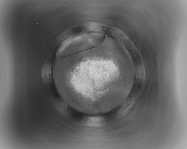 X0000103220360200809181508