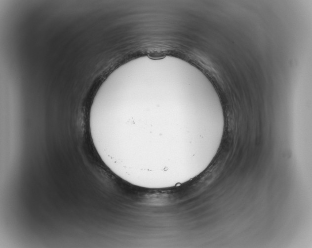 X0000103220362200809181508