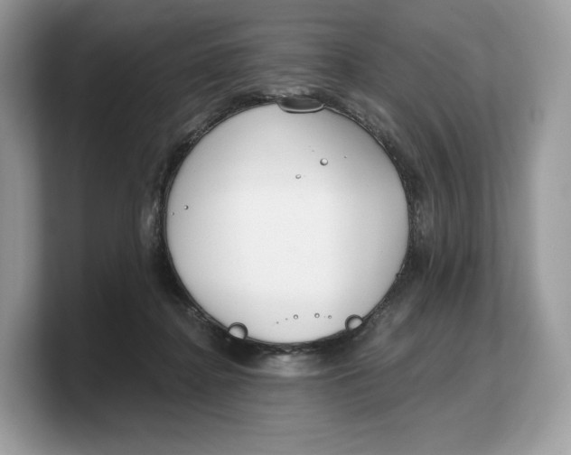 X0000103220364200809181508