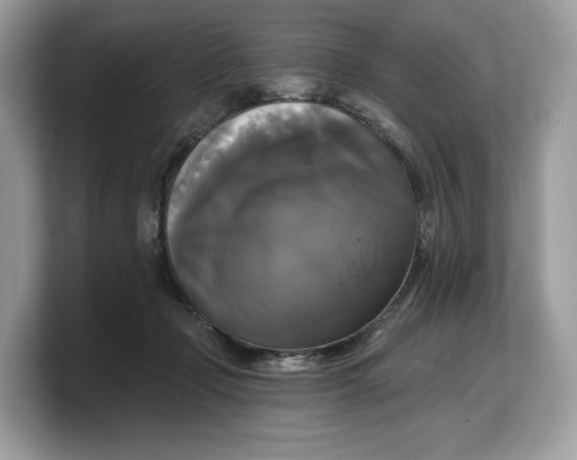 X0000103220365200809181508