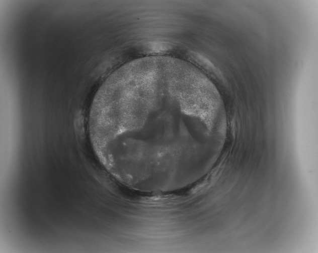 X0000103220366200809181508