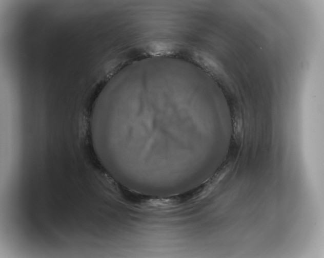 X0000103220367200809181508