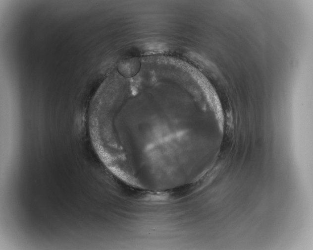 X0000103220369200809181508